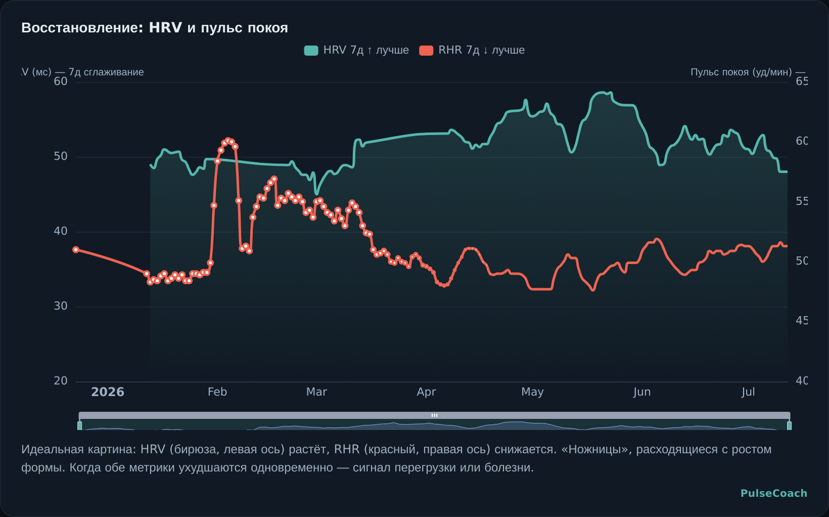 Восстановление: HRV и пульс покоя
