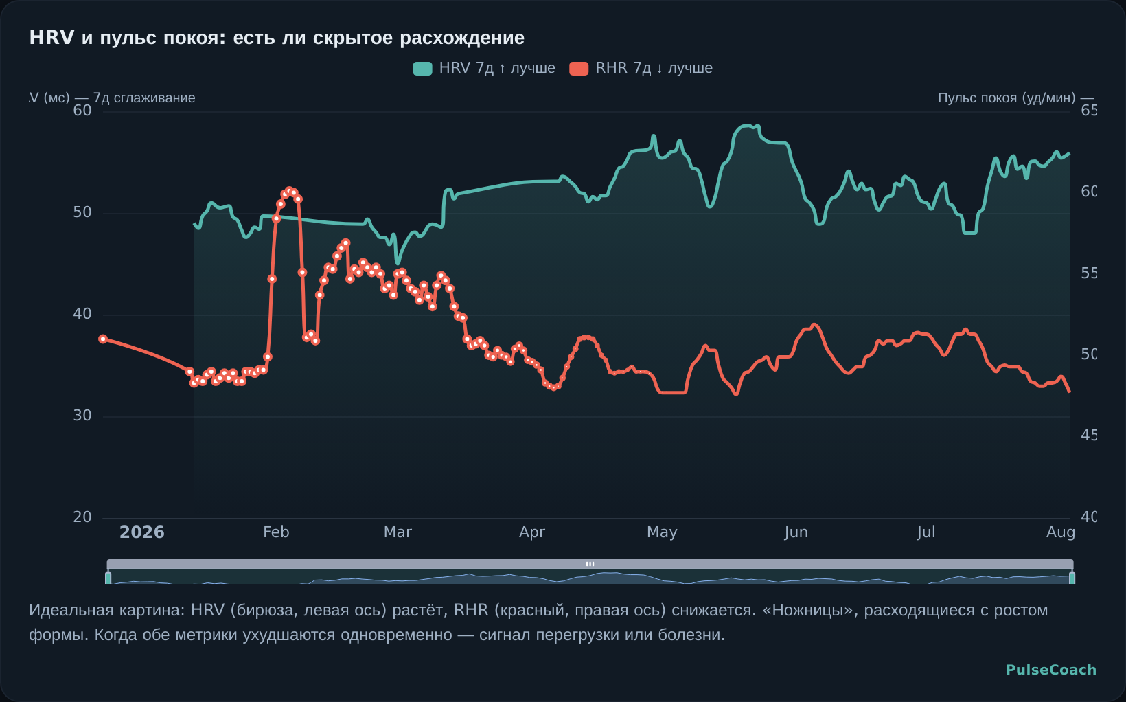 HRV и пульс покоя: есть ли скрытое расхождение